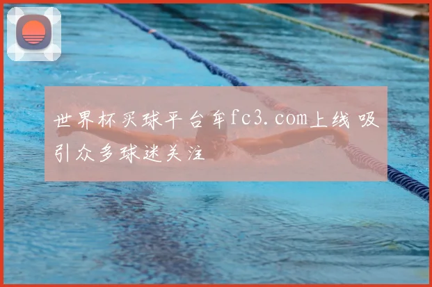世界杯买球平台牟fc3.com上线 吸引众多球迷关注