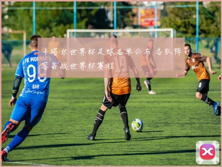卡塔尔世界杯足球名单公布 各队阵容备战世界杯赛程