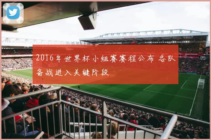 2016年世界杯小组赛赛程公布 各队备战进入关键阶段