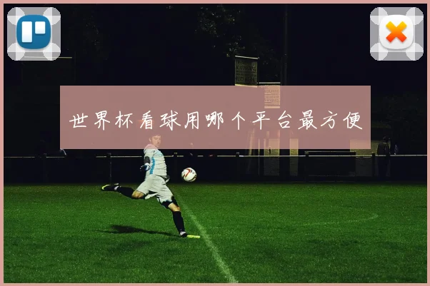世界杯看球用哪个平台最方便